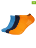 CAMP DAVID 9er-Set: Socken in Dunkelblau/ Orange/ Blau