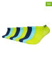 CAMP DAVID 9er-Set: Socken in Hellblau/ Limette/ Dunkelblau