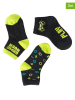 COOL CLUB 3er-Set: Socken in Schwarz/ Grün
