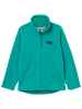 Helly Hansen Fleece vest "Daybreaker 2.0" groen