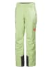 Helly Hansen Spodnie narciarskie "Switch" w kolorze zielonym