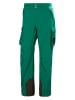Helly Hansen Spodnie narciarskie "Ullr" w kolorze zielonym