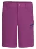 Trollkids Softshellshort "Haugesund" paars