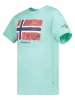 Geographical Norway Shirt "Palm" turquoise
