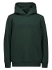 POC Hoodie "Apparel" in Grün