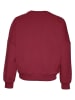 Blue Effect Sweatshirt in Rot