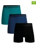 Muchachomalo 3-delige set: boxershorts zwart/donkerblauw/turquoise