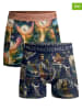 Muchachomalo 2er-Set: Boxershorts in Bunt