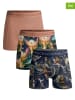 Muchachomalo 3er-Set: Boxershorts in Altrosa/ Dunkelblau