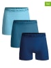 Muchachomalo 3er-Set: Boxershorts in Blau/ Hellblau