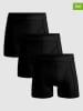 Muchachomalo 3er-Set: Boxershorts in Schwarz