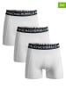 Muchachomalo 3er-Set: Boxershorts in Weiß