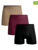 Muchachomalo 3er-Set: Boxershorts in Beige/ Bordeaux/ Schwarz