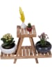 Scandinavia Concept Pflanzenregal in Hellbraun - (B)70 x (H)50 x (T)24 cm