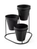 Scandinavia Concept Blumenständer in Schwarz - (B)19 x (H)20 x (T)19 cm