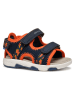 Geox Sandalen "Multy" in Dunkelblau/ Orange
