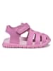 Geox Halbsandalen "Fusbetto" in Pink