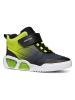 Geox Sneakers "Illuminus" zwart/groen