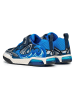 Geox Sneakers "Inek" in Blau