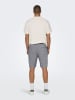 ONLY & SONS Shorts "Onslinus" in Grau