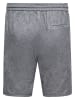 ONLY & SONS Shorts "Onslinus" in Grau