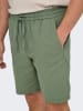 ONLY & SONS Shorts "Onslinus" in Grün