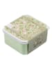 a little lovely company 4-delige set: lunchboxen "Blossoms" groen/lichtroze