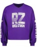 RAIZZED® Bluza w kolorze fioletowym