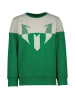 Messi Sweatshirt groen/grijs