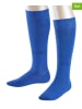 ESPRIT 2er-Set: Kniestrümpfe "Foot Logo" in Blau