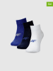 4F 3er-Set: Socken in Schwarz/ Blau/ Weiß