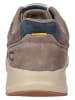 Camel Active Leder-Sneakers "Connect" in Taupe