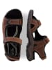 Camel Active Leder-Sandalen "Rise" in Braun