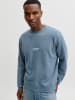 Jack & Jones Sweatshirt "Jjesoho" lichtblauw