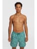 O'Neill Zwemshorts turquoise