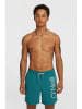 O'Neill Badeshorts "Cali" in Türkis