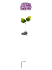 STAR Trading LED-Solar-Gartenstecker "Hortensia" in Violett - (H)77 cm