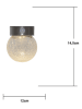 STAR Trading LED-Solar-Wandleuchte "Glory" in Silber - (H)14,5 x Ø 12 cm