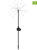 STAR Trading 2-delige set: ledsolartuinstekers "Firework" zwart - (H)60 cm