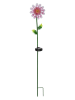 STAR Trading Ledsolartuinsteker "Pink Daisy" meerkleurig - (B)15 x (H)81 x (D)12 cm
