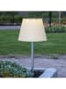 STAR Trading LED-Solar-Gartenstecker "Solini" in Silber/ Weiß