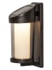 STAR Trading LED-Solar-Wandleuchte "Alippa" in Schwarz - (H)21 x Ø 8,5 cm