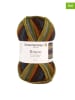 Schachenmayr since 1822 20er-Set: Kunstfasergarne ''Bravo Color'' in Bunt - 20x 50 g