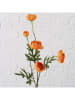 Boltze Kunstblume "Ranunkel in Grün/ Orange - (H)52 cm
