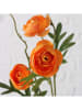 Boltze Kunstblume "Ranunkel in Grün/ Orange - (H)52 cm