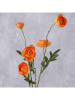 Boltze Kunstblume "Ranunkel in Grün/ Orange - (H)52 cm