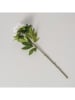 Boltze Kunstblume "Päonie" in Grün/ Weiß - (H)72 cm