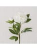 Boltze Kunstblume "Päonie" in Grün/ Weiß - (H)72 cm