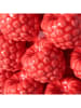 Boltze Wazon "Raspberry" w kolorze czerwonym - wys. 19,5 x Ø 22,5 cm