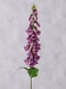 Boltze Dekozweig ''Fingerhut (Digitalis)'' in Grün/ Lila - (L)90 cm